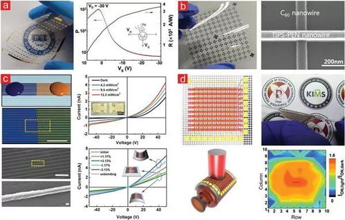 天津大学胡文平教授团队Chem. Soc. Rev. 柔性电子产品中的有机晶态材料